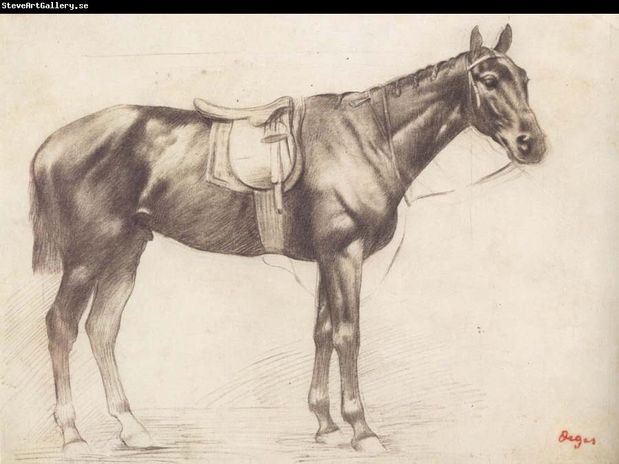 Edgar Degas Horse with Saddle and Bridle